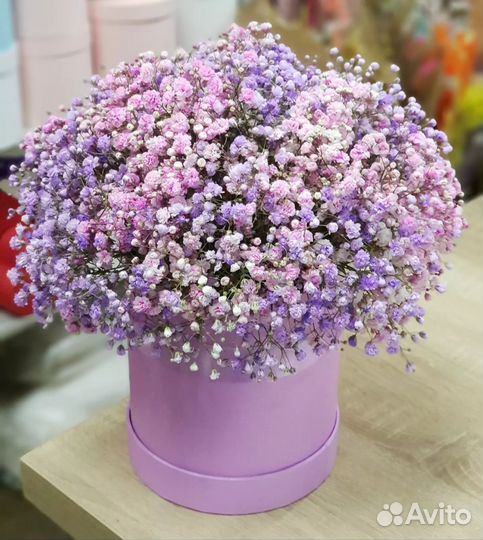 Композиции из Гипсофилы в Коробках. Цветы