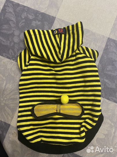 Одежда для собак