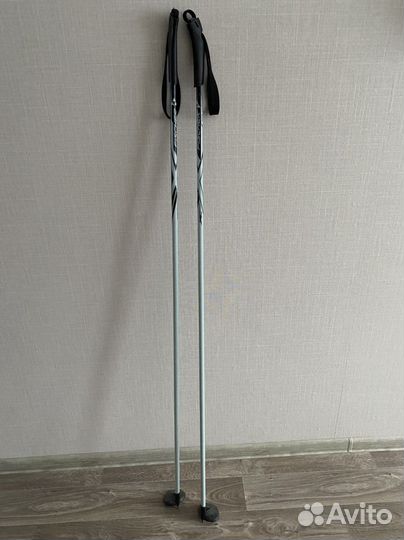 Лыжные палки