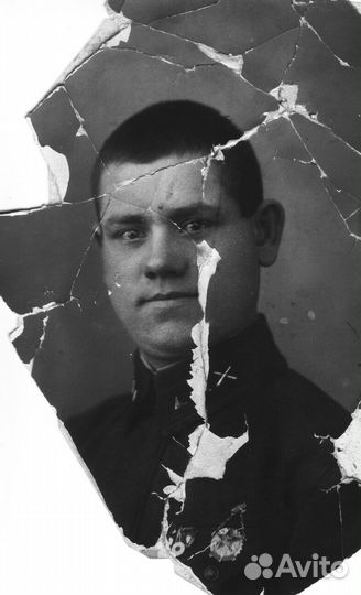 Фотошоп, Векторная Графика, Презентации