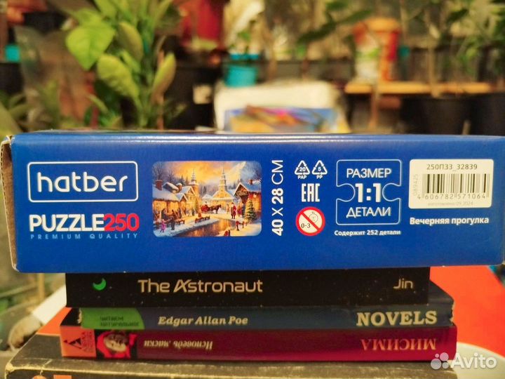 Пазл 250