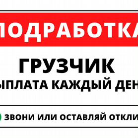 подработка на один день с ежедневной оплатой - Авито | Объявления в Москве:  купить вещь, выбрать исполнителя или работу, подобрать недвижимость и  транспорт по низкой цене | Авито