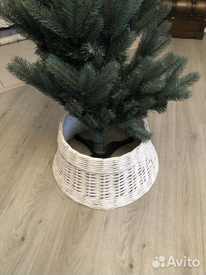 Ель голубая 150см