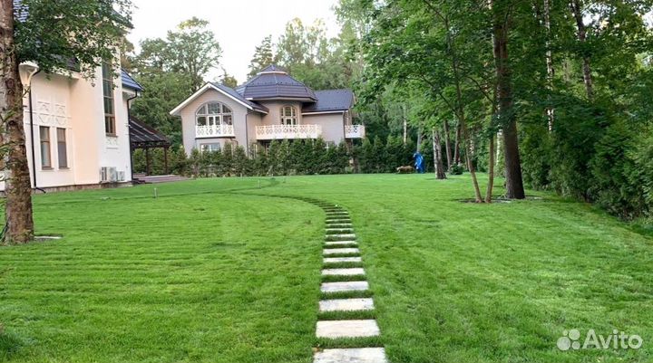 Рулонный газон