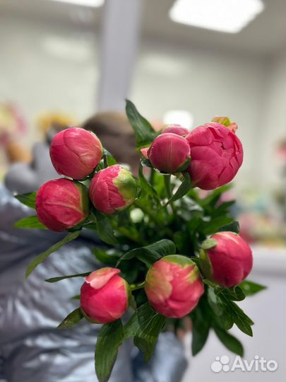 Пионы с доставкой