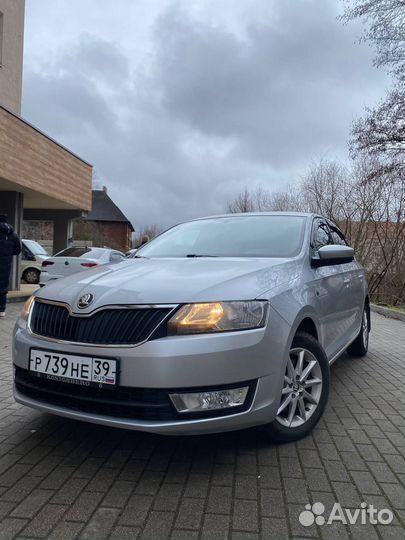 Прокат аренда Шкода Рапид Skoda Rapid