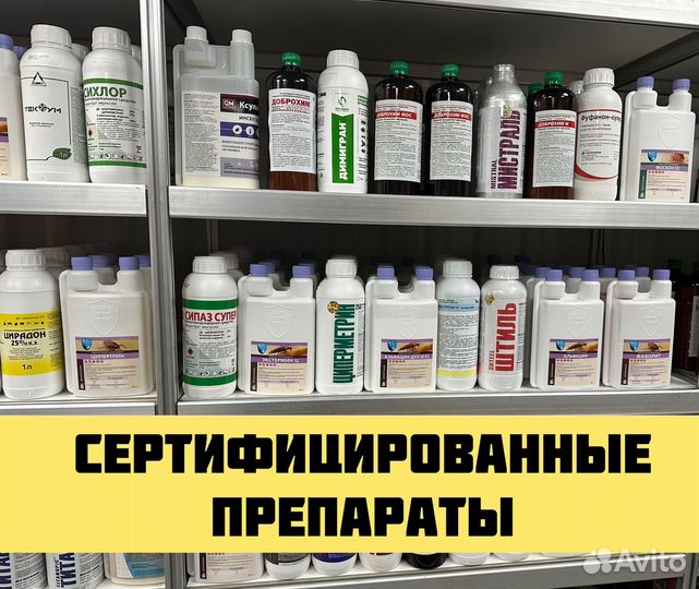 Уничтожение тараканов,дезинфекция вывести клопов