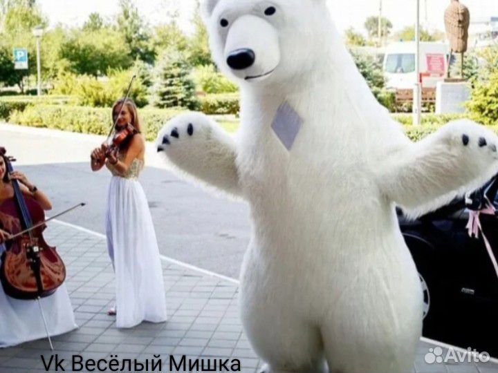 Заказать поздравление Белого медведя