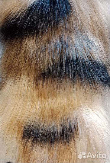 Фурчатки трехцветные