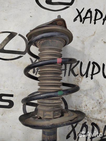 Амортизатор передний Toyota Rav4 axaa52 2019-Н.в