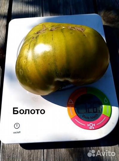 Семена томатов