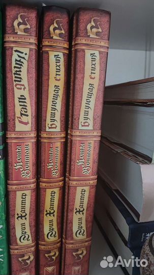 Коты-воители 