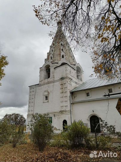 Экскурсии Переславль-Залесский гид