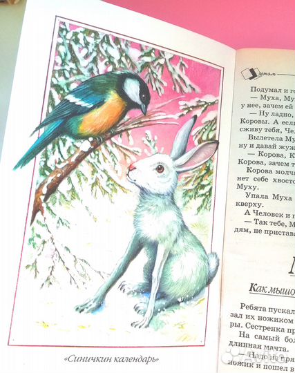 Книга В. Бианки