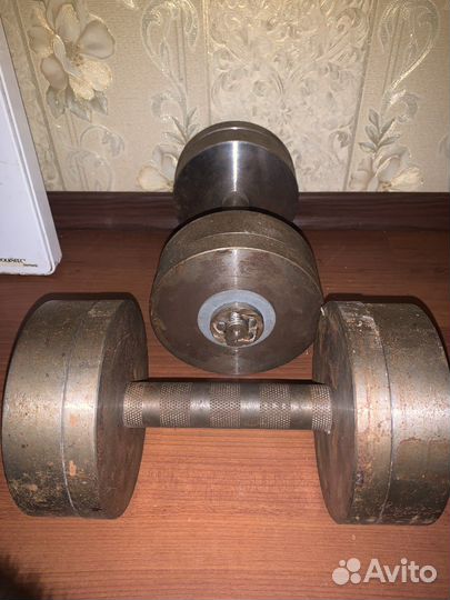 Гантели разборные