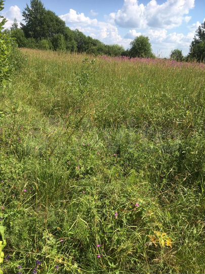 Участок 20 сот. (ИЖС)