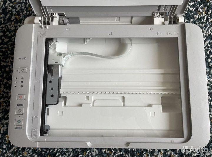 Мфу струйный canon MG2440