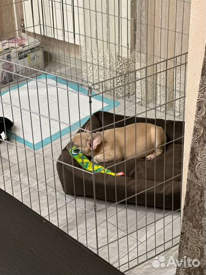 Вольер для собак