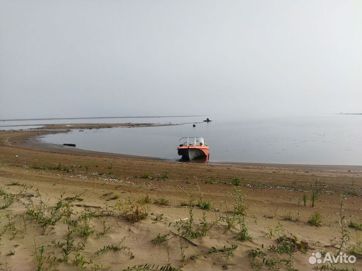 Продам Казанка 5м