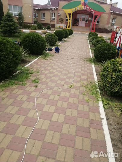 Покраска, сад и огород