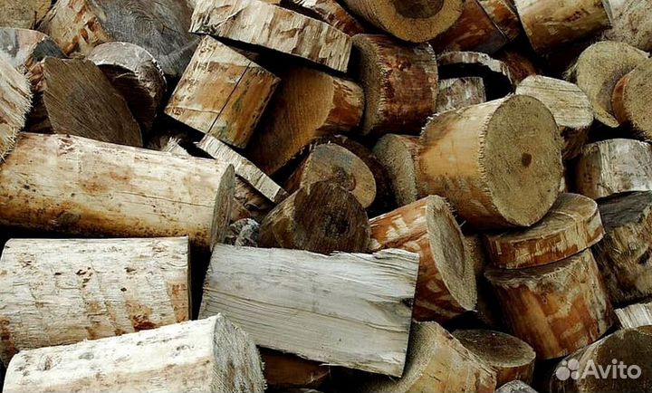 Дрова в Белоострове
