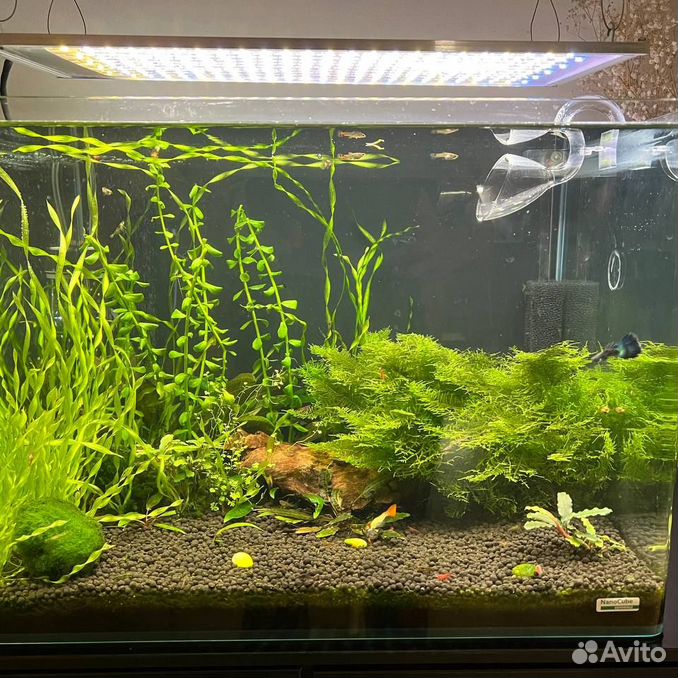 Аквариум Dennerle Nano Tank 70 - полный комплект