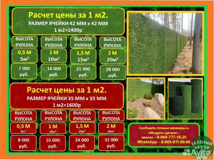 Калифорнийская изгородь