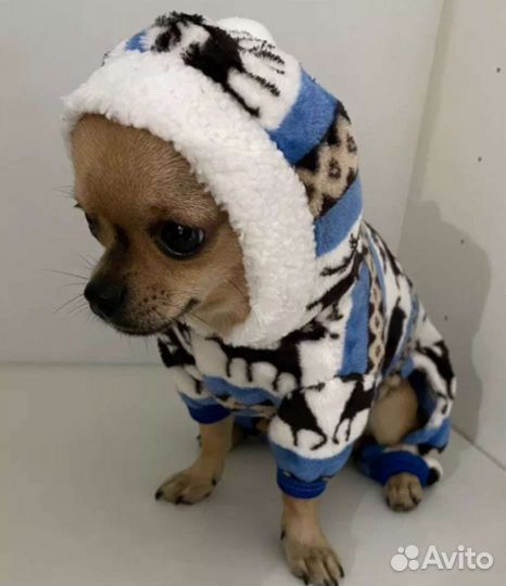 Новогодняя шапочка и мягкая кофточка для собаки