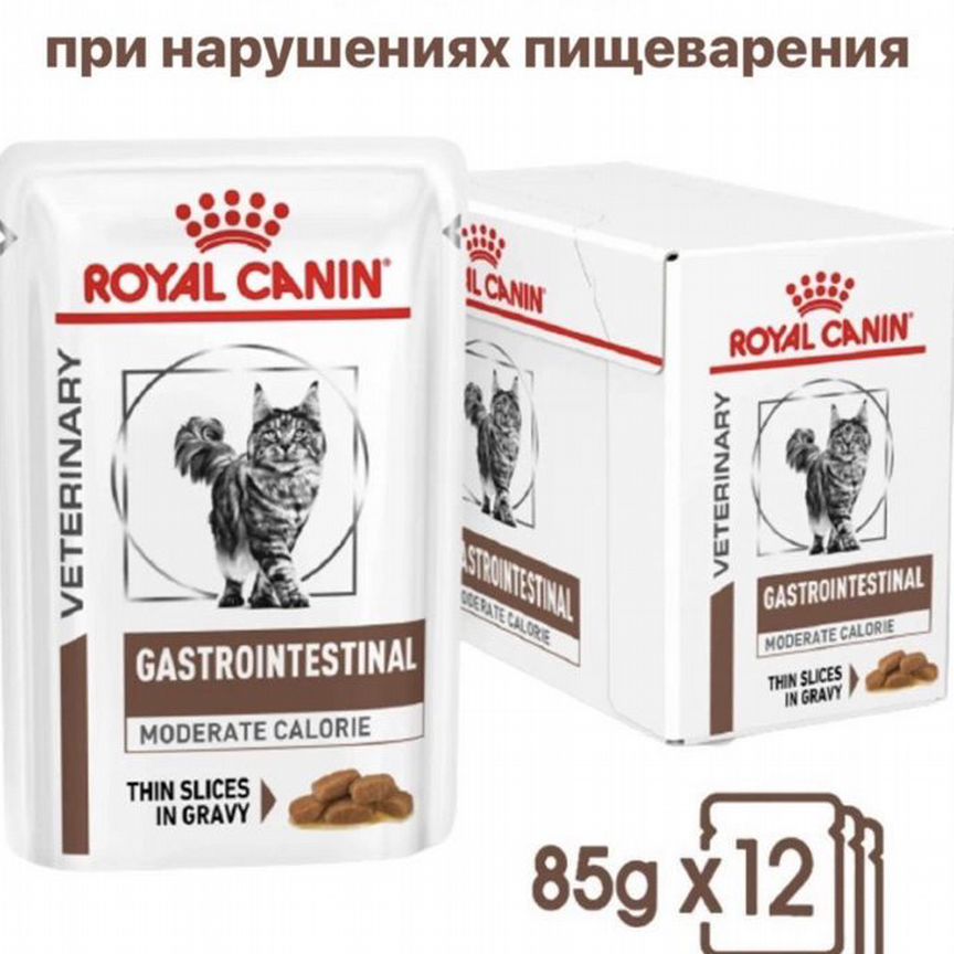 Корм royal canin gastrointestinal влажный