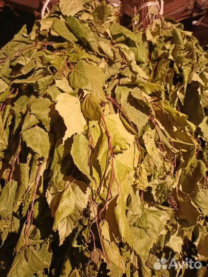 Душица матрёшка