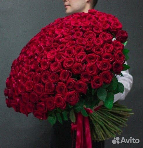 Роза Россия 201 штка (70 см.)
