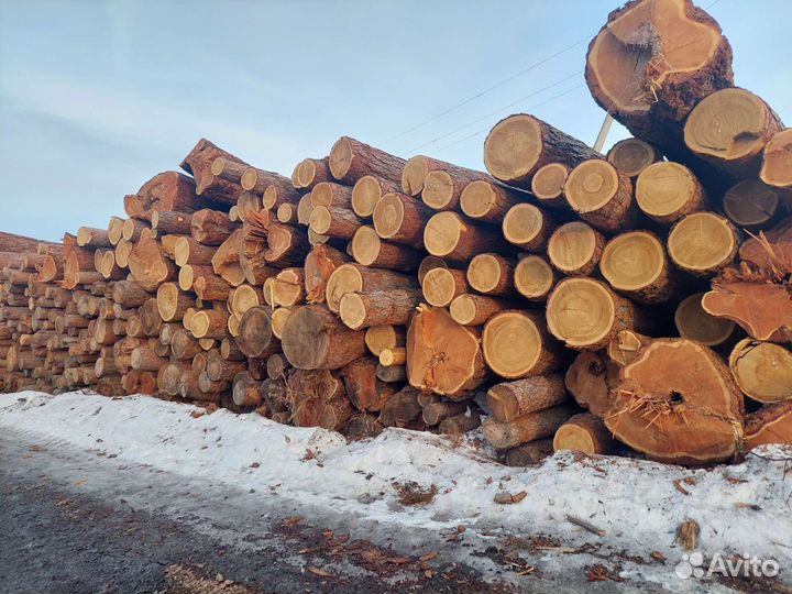 Лиственница