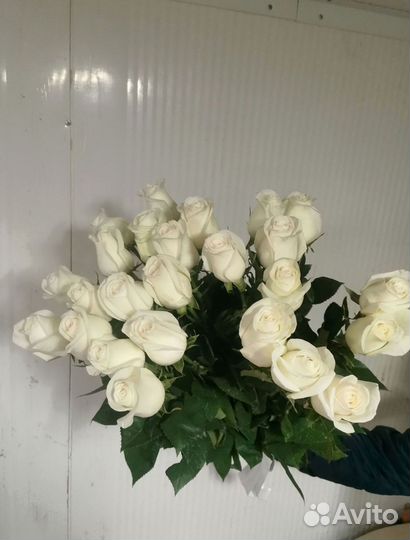 Розы, букет цветов