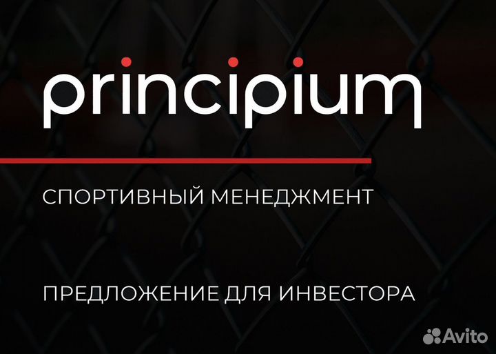 Ищем инвестиционного партнера