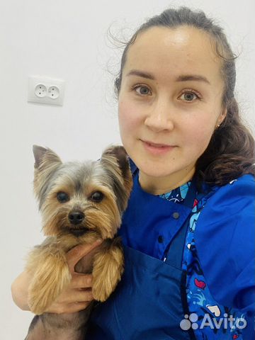 Груминг собак и кошек