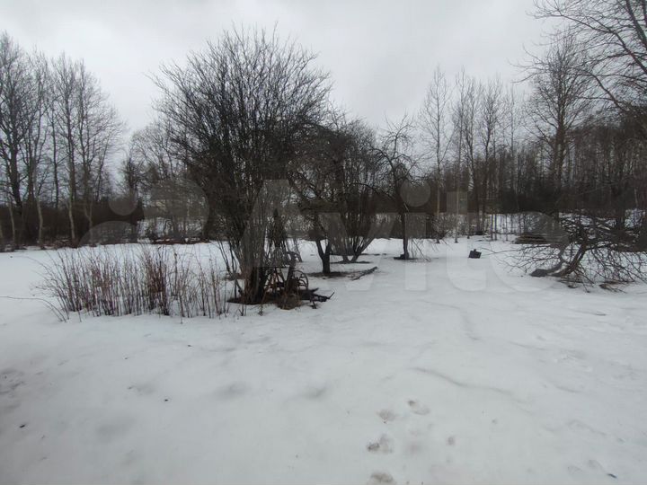 Участок 29,4 сот. (ИЖС)