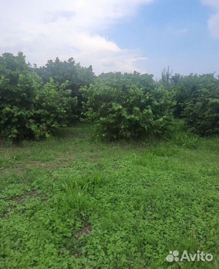 Продам садовый участок