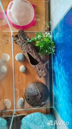 Аквариум со всеми принадлежностями