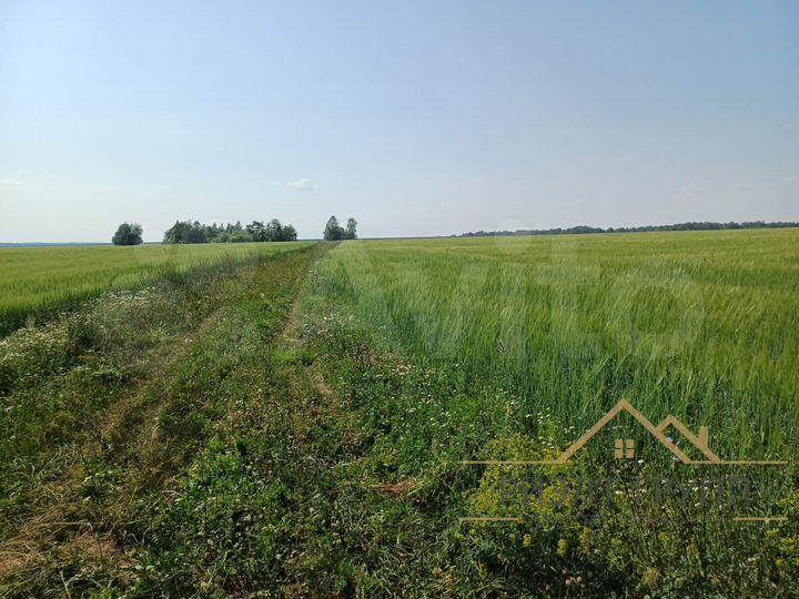 Участок 4,8 га (СНТ, ДНП)