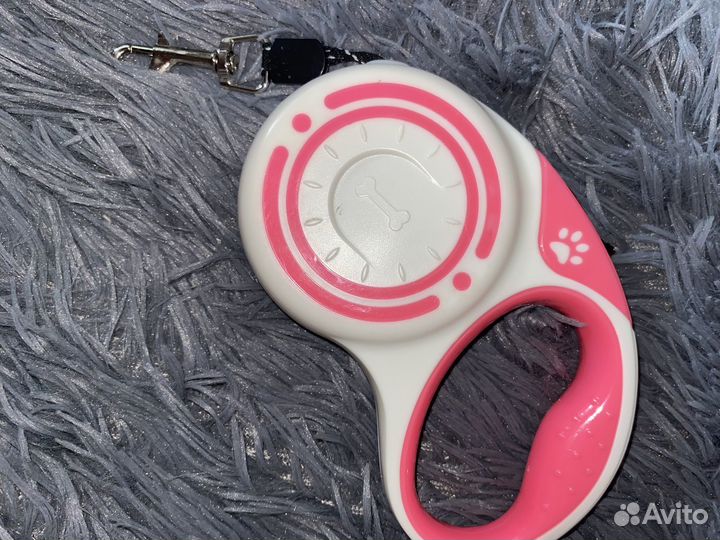 Амуниция для собак