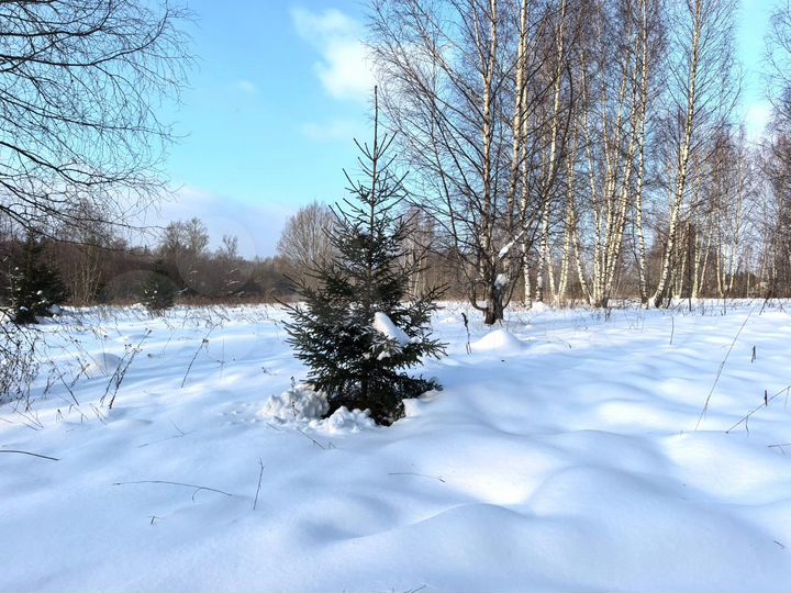 Участок 9 сот. (ИЖС)