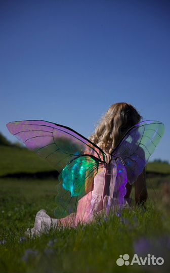 Крылья феи бабочки