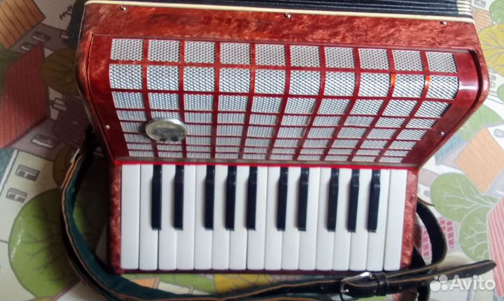 Аккордеон юность 2