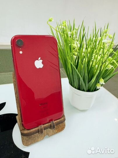 iPhone Xr, 64 ГБ