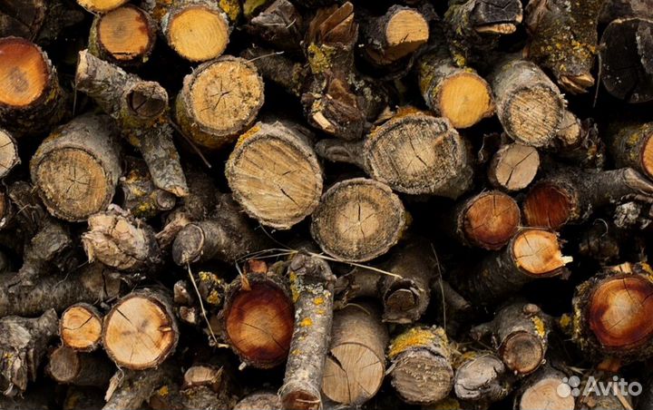 Дрова в город