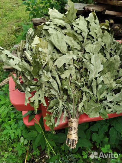 Банные веники