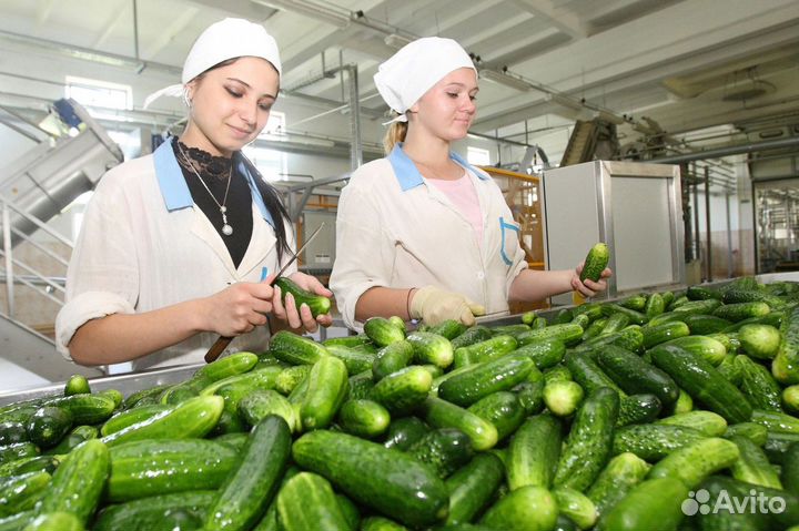 Упаковщики в Волгоград на новый завод, жилье