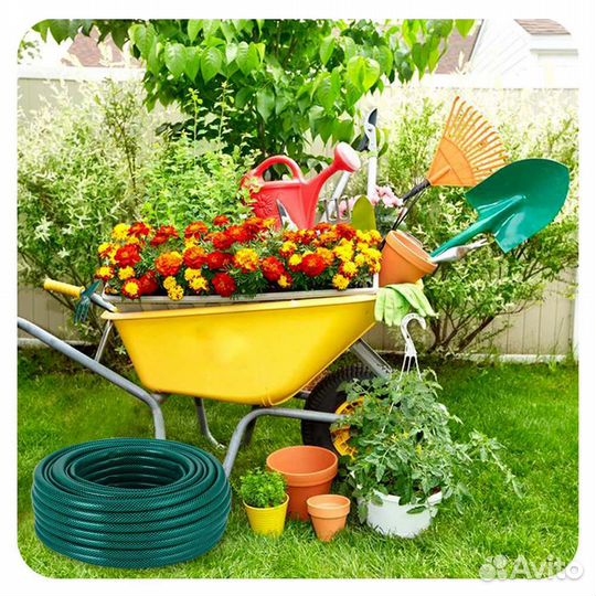 Все для сада и огорода, семена