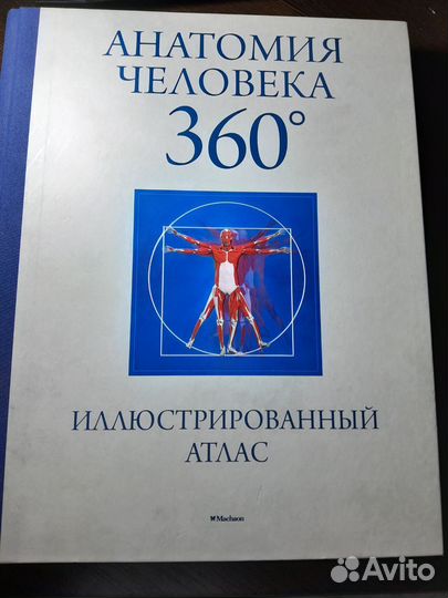 Анатомия человека