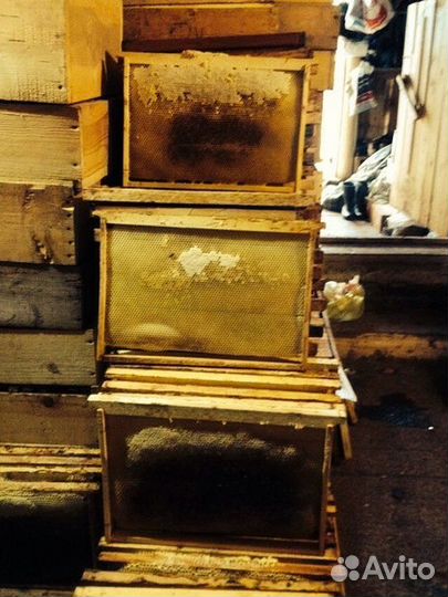 Рамки с сушью